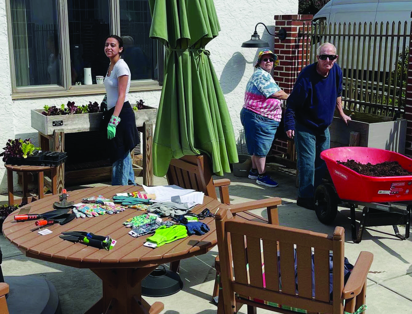 people working on garden beds