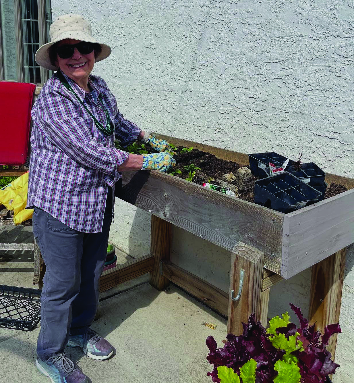 woman planting herbs on raised garden bed