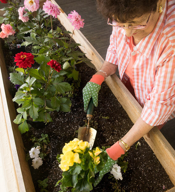 summer-2019-planting-e1668021633549