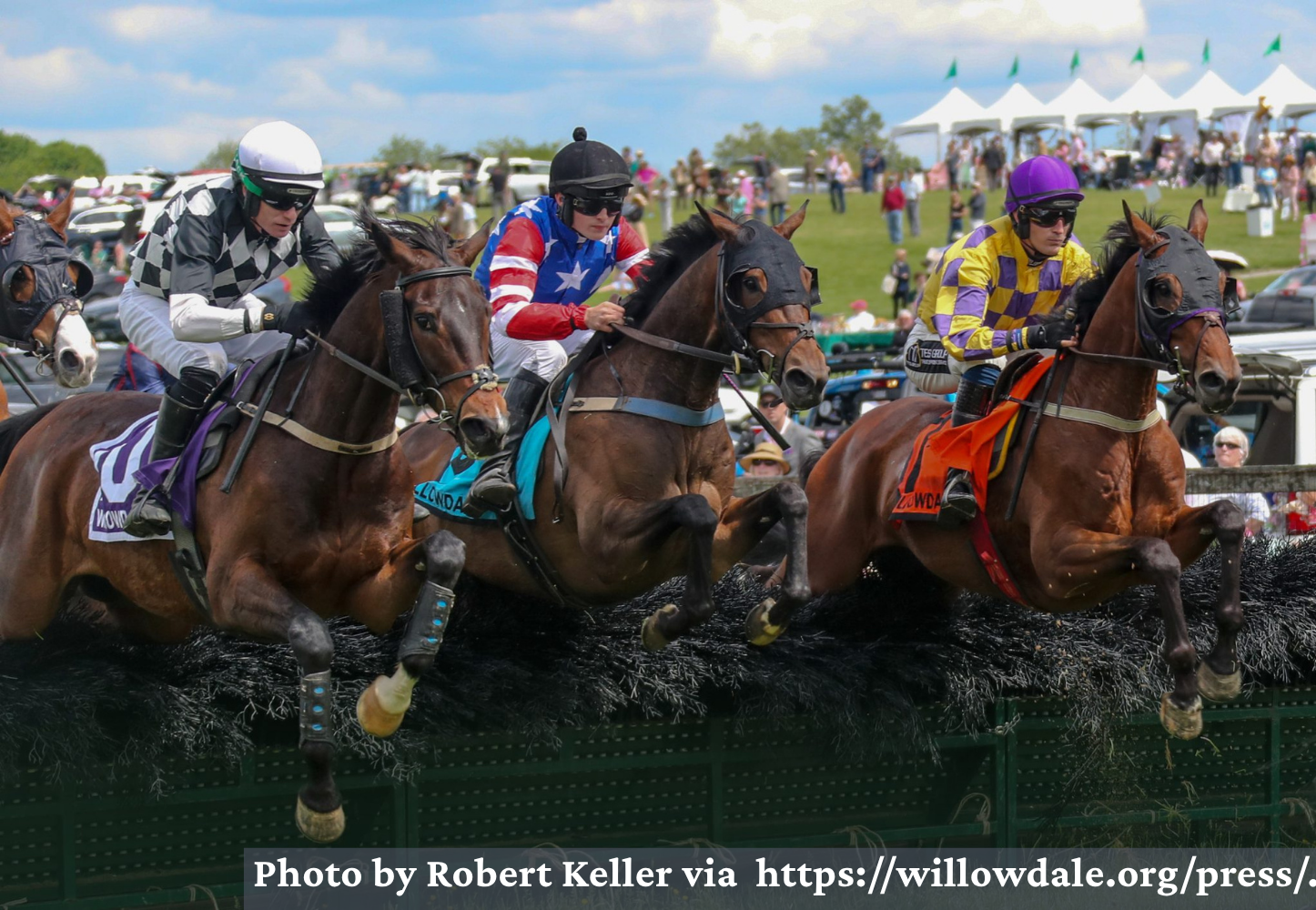 Levels of Care [FH] (4)